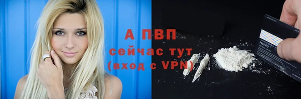 ешки Абинск