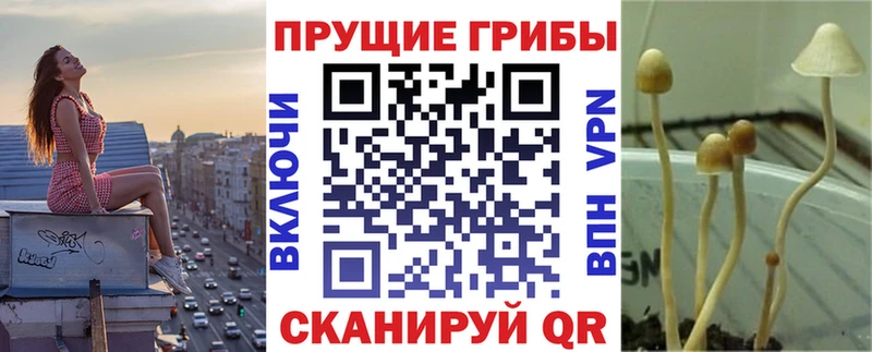 mega ссылки  Ртищево  Псилоцибиновые грибы ЛСД  что такое  
